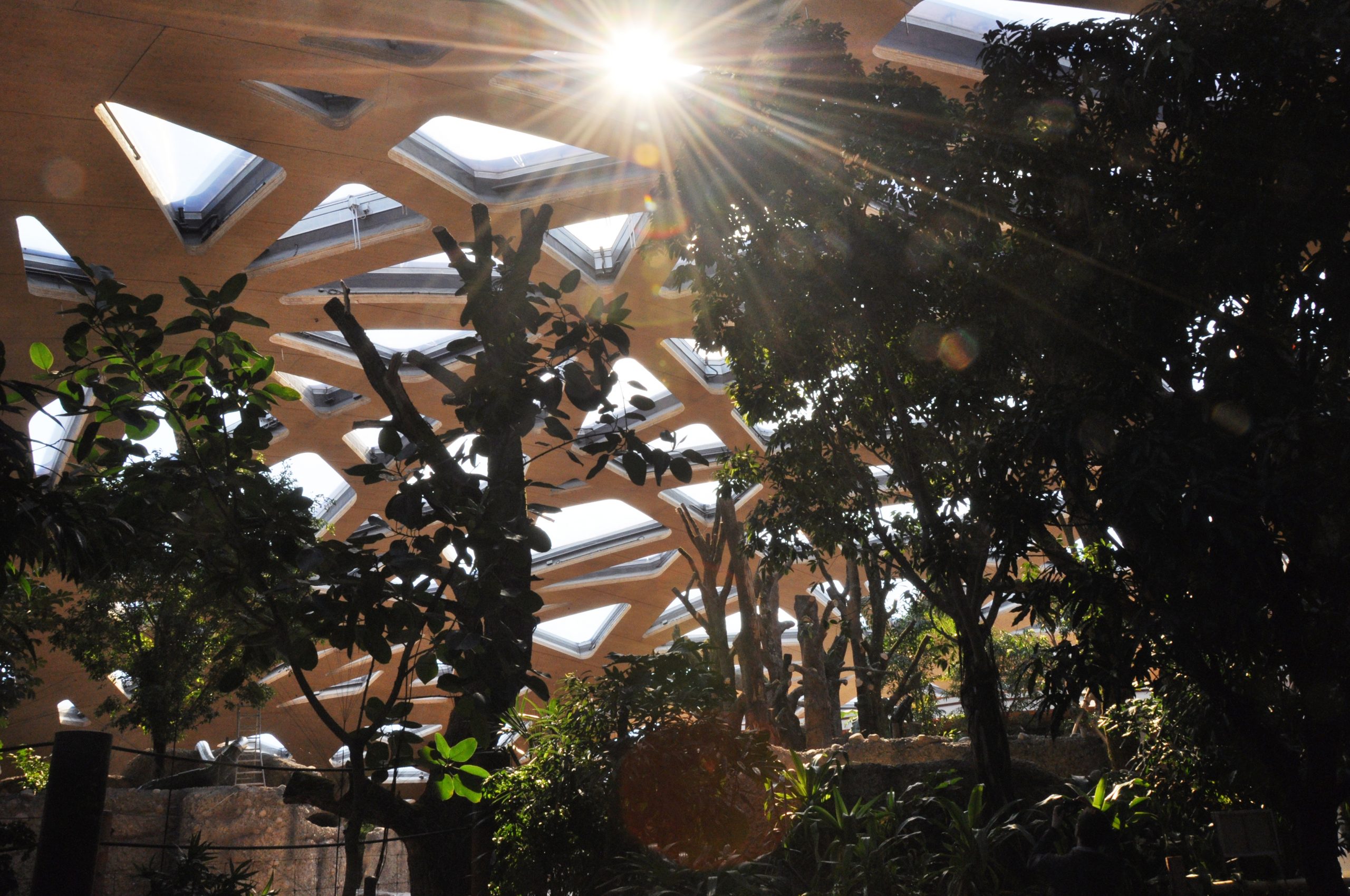 Elefantenhaus Zoo Zürich