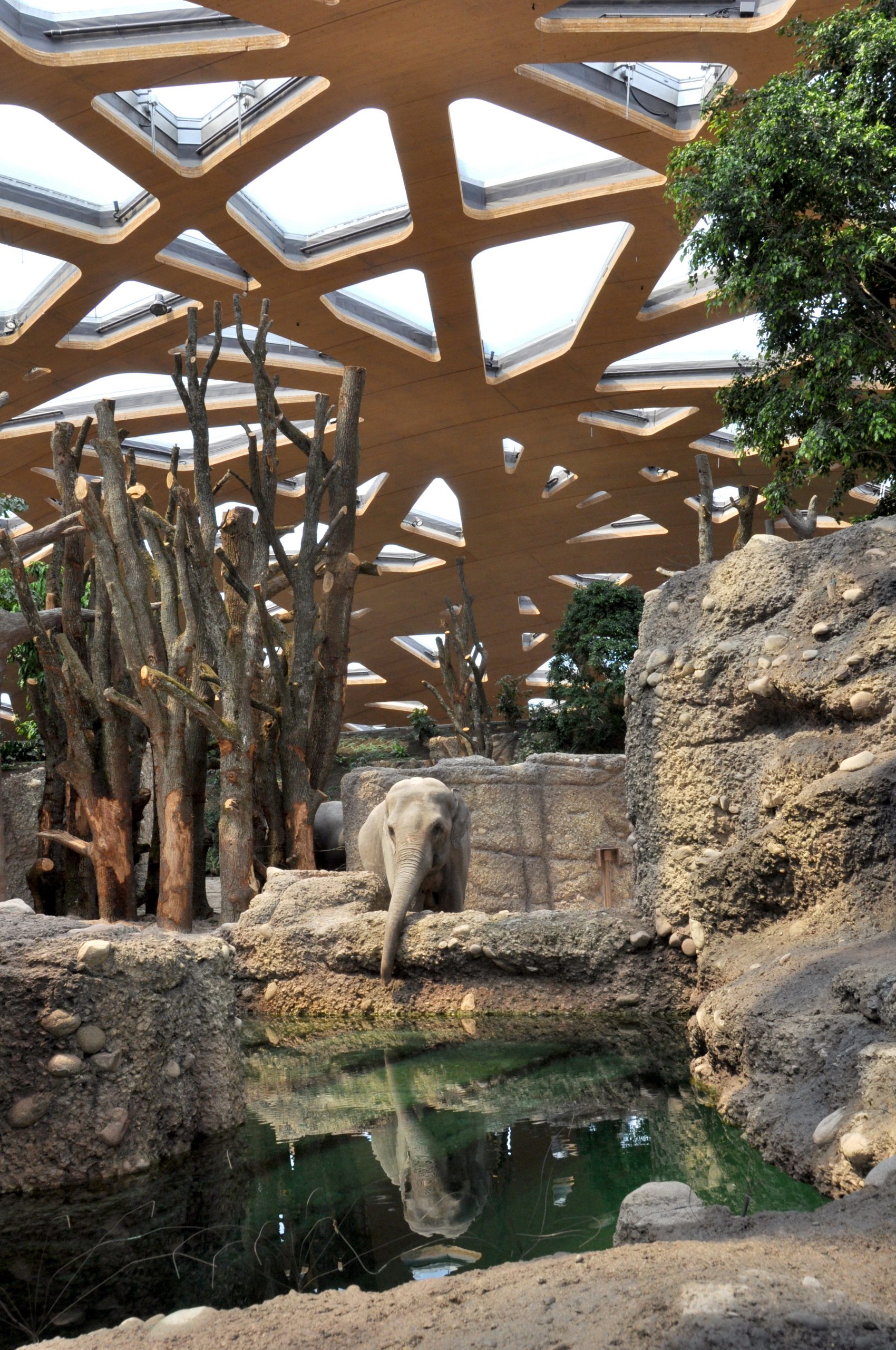Elefantenhaus Zoo Zürich