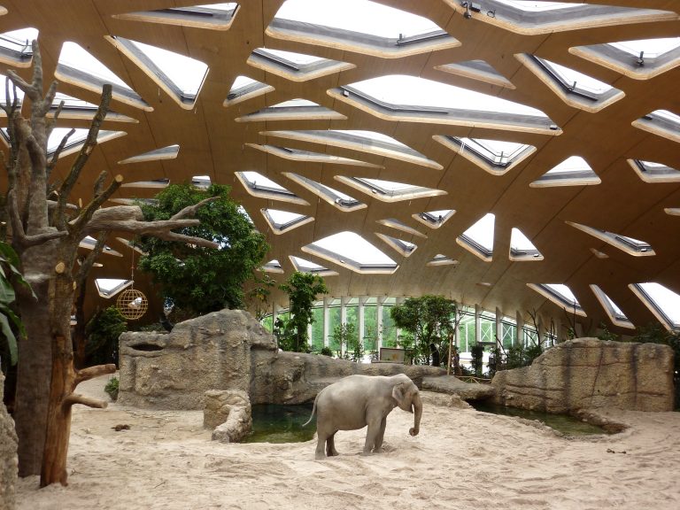 Elefantenhaus Zoo Zürich